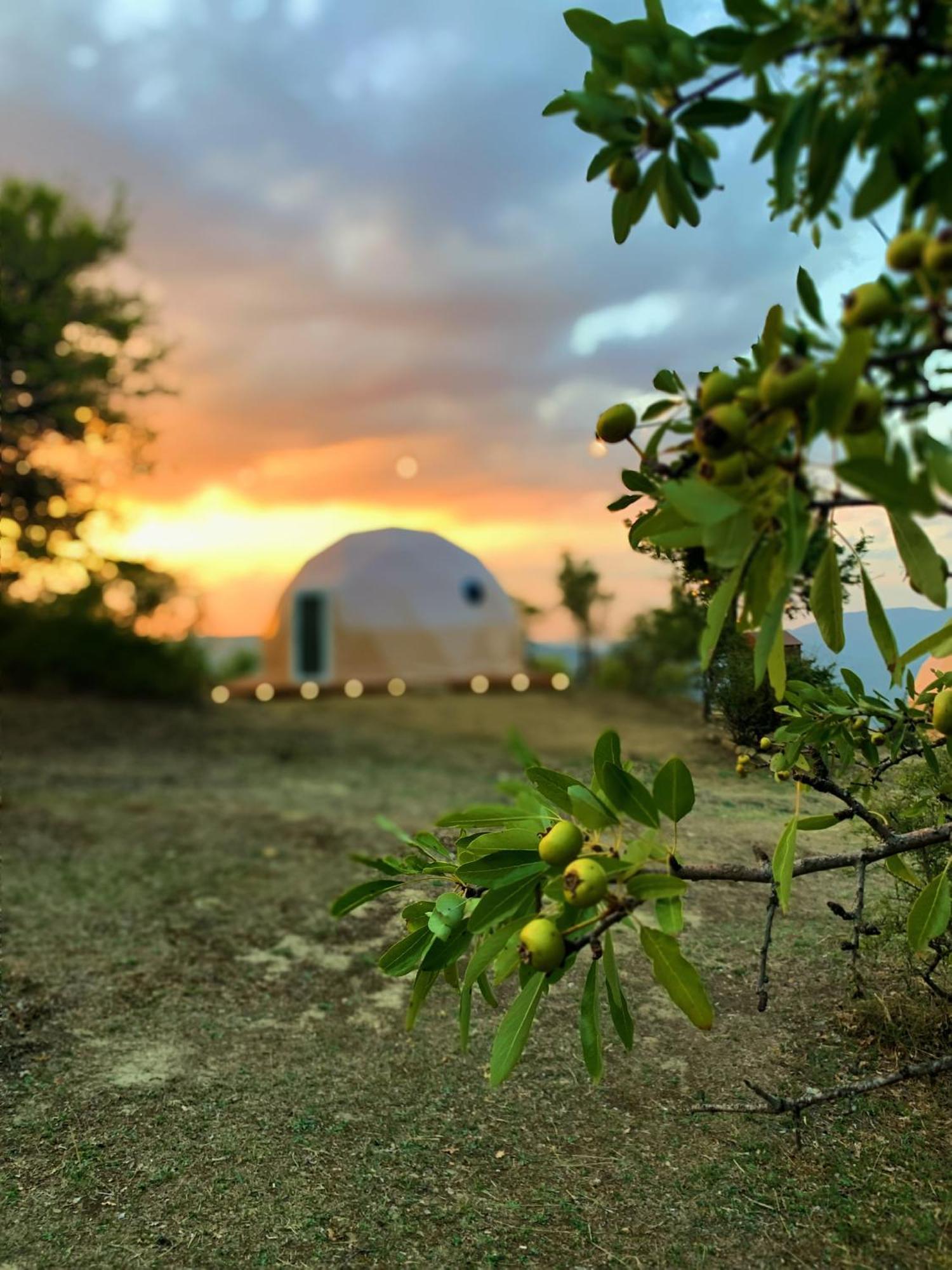 Aura - Glamping Experience Hotel Accettura Ngoại thất bức ảnh